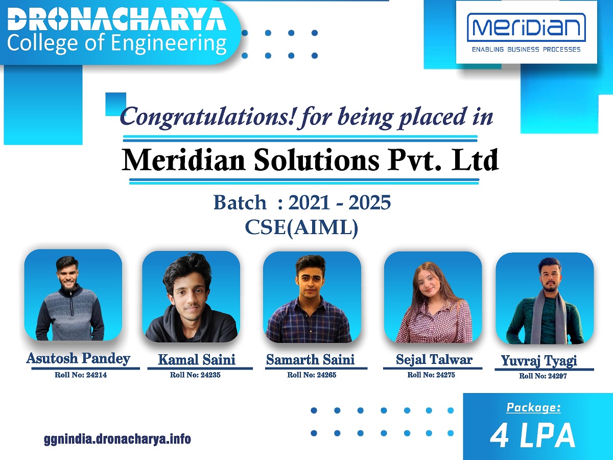 Meridian Solutions Pvt. Ltd.