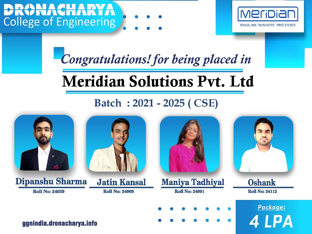 Meridian Solutions Pvt. Ltd.