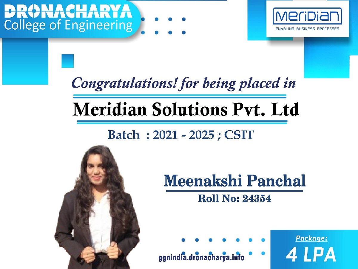 Meridian Solutions Pvt. Ltd.